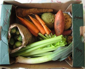 Veg in clover £13 veggie box plus eggs