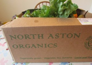 North Aston Organics Veggie Box 2
