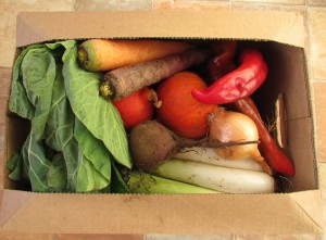 Westmill Organics Veggie box