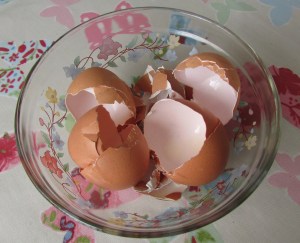 Organic farm egg shells make calcium