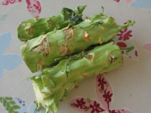 Food waste broccoli stems