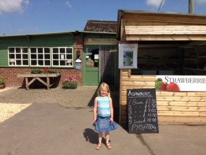 Peach Croft Farm PYO