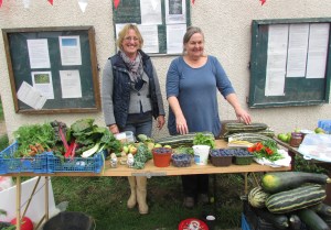 Cow Mead allotment donation sale oxford